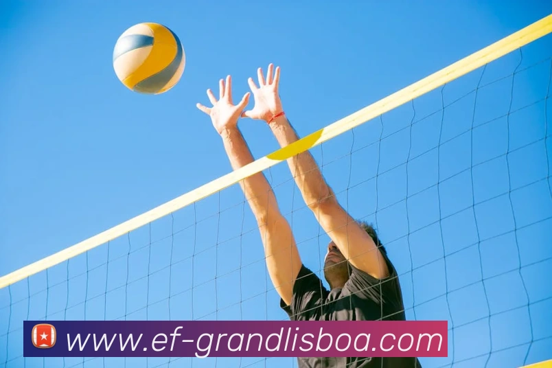 新葡京娱乐服务体系